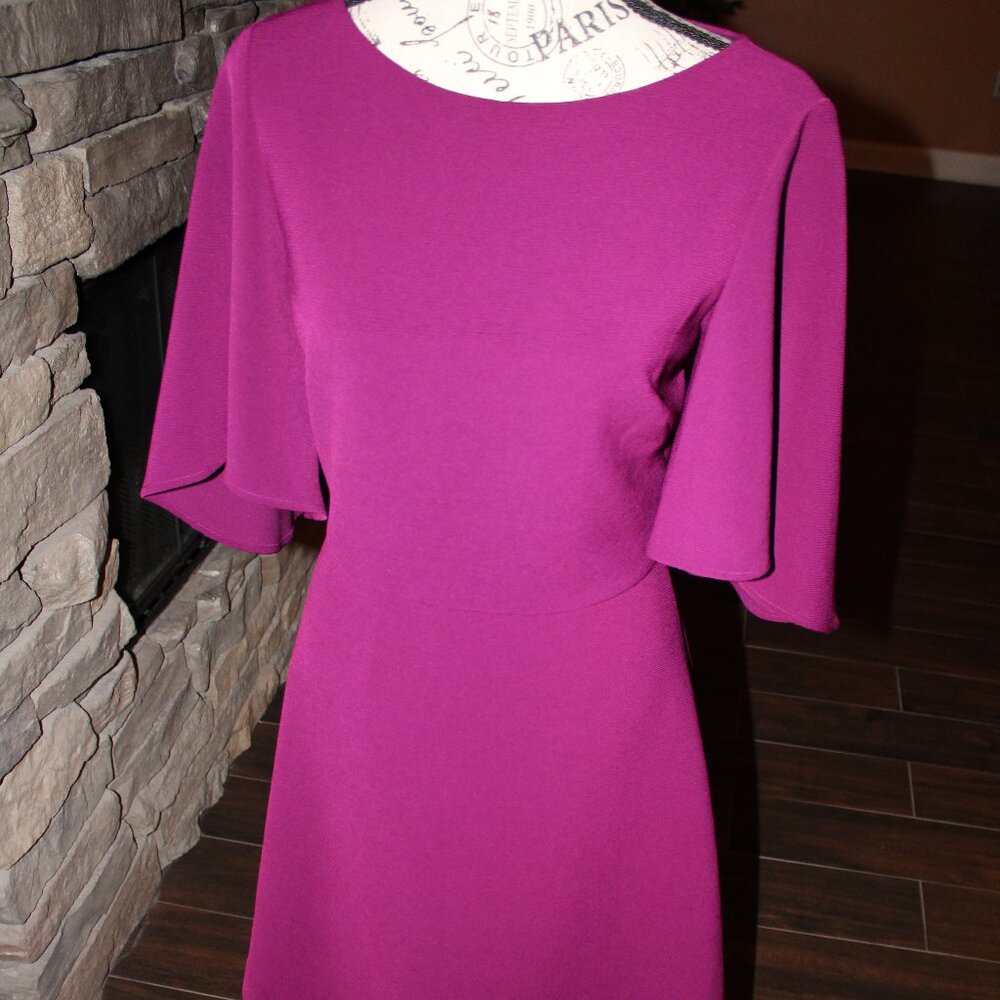 Belle Badgley Mischka Fluttered Sleeve A-Line Dress